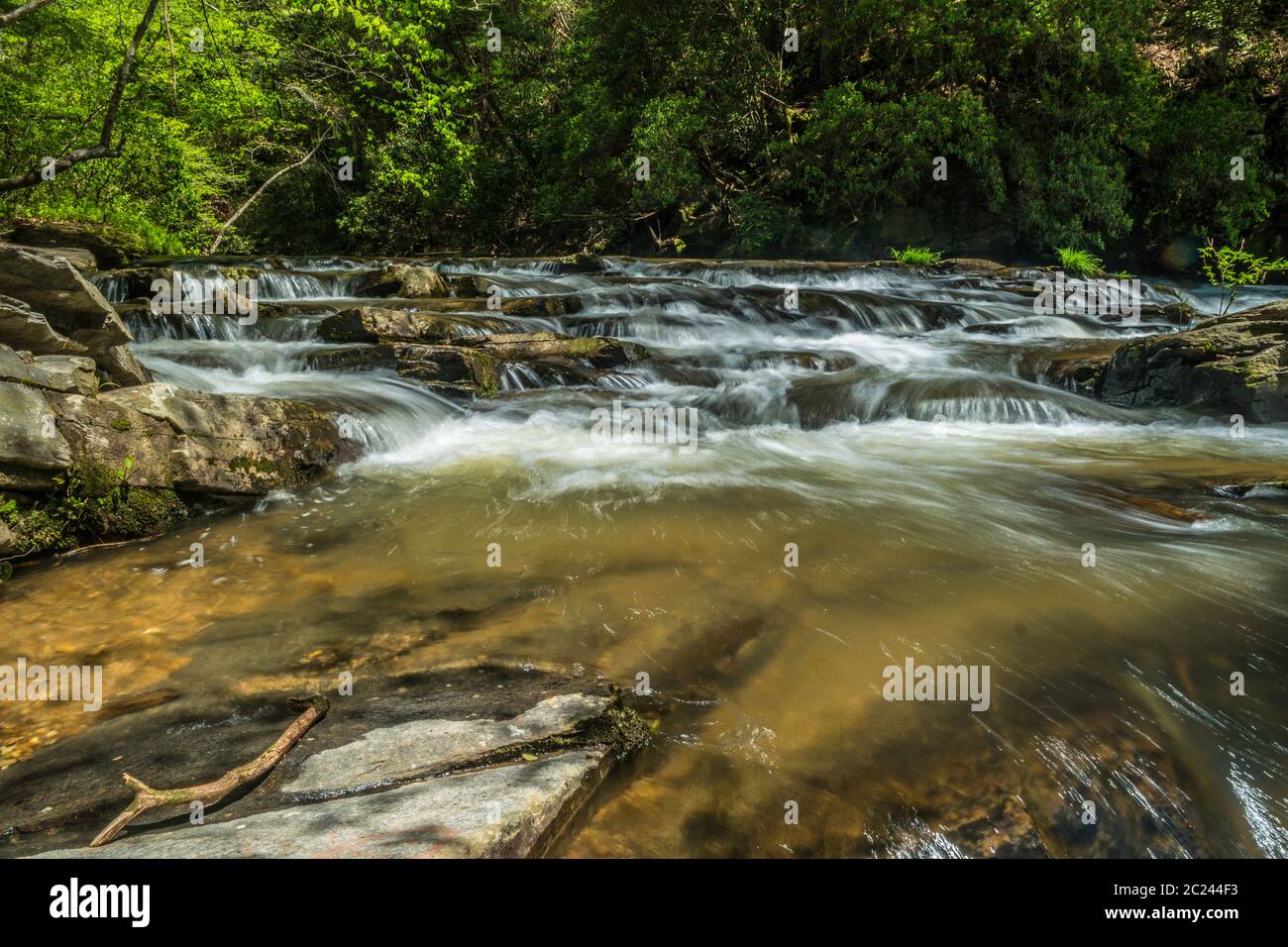 A valle di una cascata di acque bianche che si muovono rapidamente attraverso le rocce e massi del fiume con la foresta sullo sfondo su un luminoso sole Foto Stock