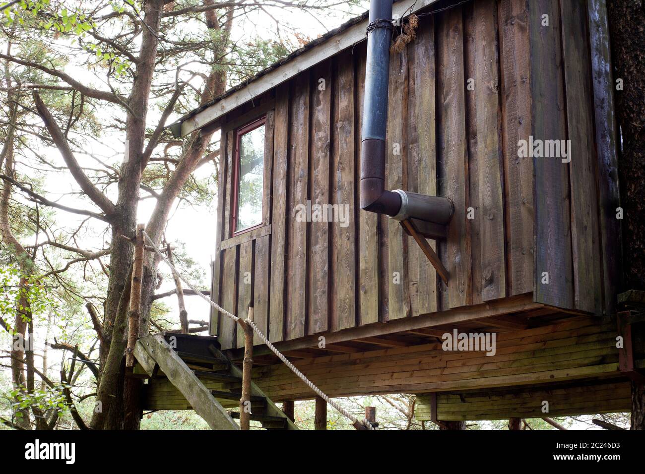 Treehouse in Norvegia in una foresta verde, dormire settembre 2018 bellezza Foto Stock