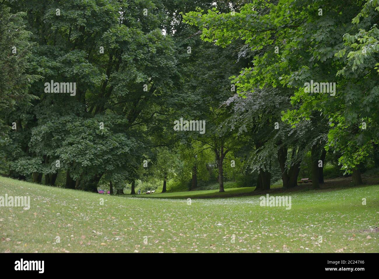 HUMBERG ,GERMANIA- 11 Giugno 2018 , Alsterwiese Schwanenwik pack e buon posto popolare in Germania Foto Stock