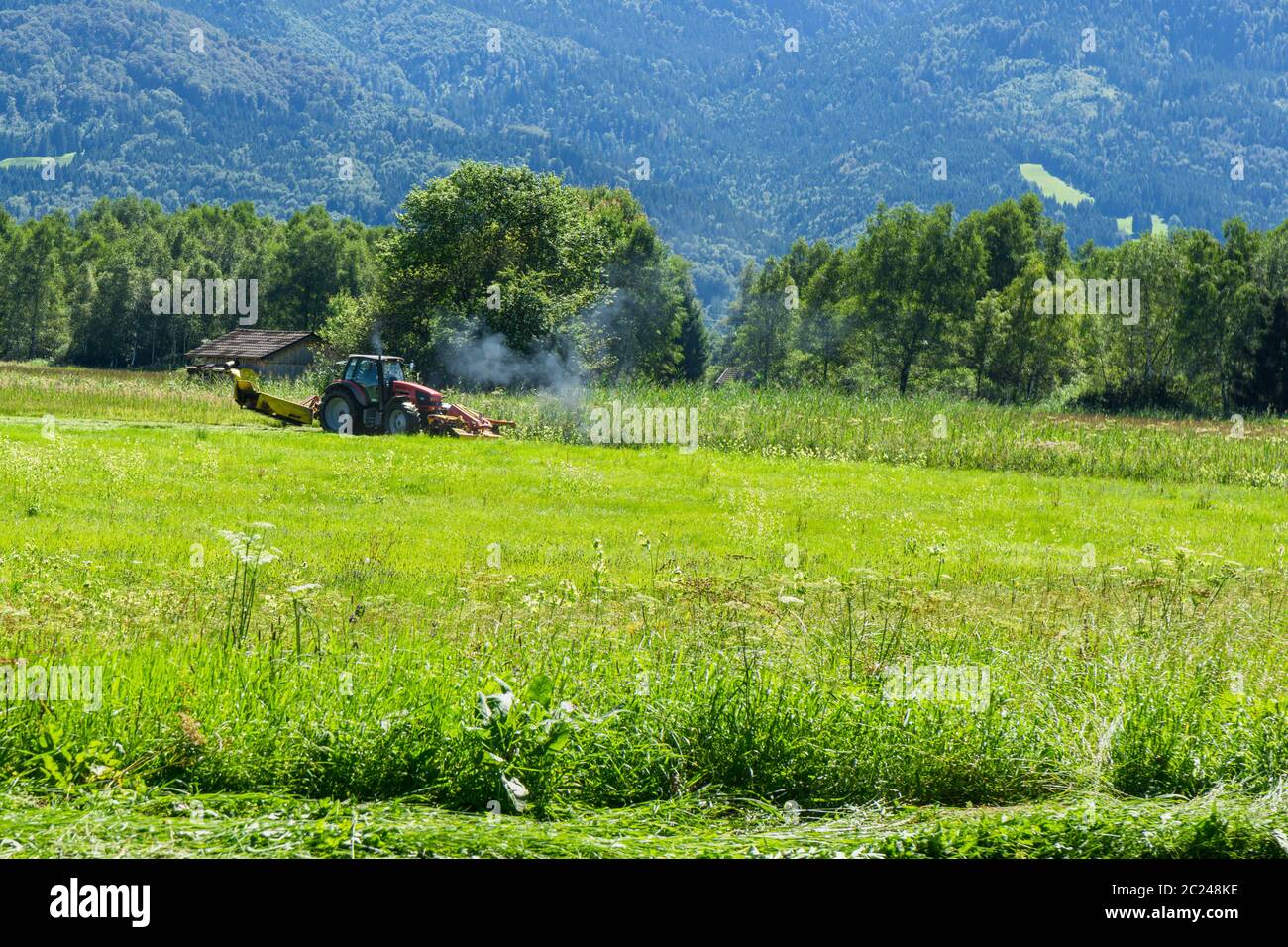 Erba di falciatura Foto Stock