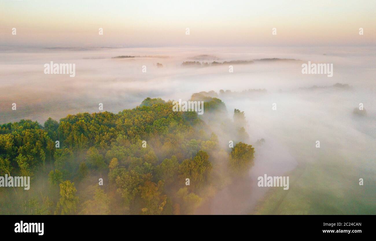Estate natura paesaggio panorama dell'antenna. Nebbia di mattina su fiume, prato e bosco. Una natura che stupisce la luce del sole di scena a foggy sunrise. La Bielorussia, Europa Foto Stock