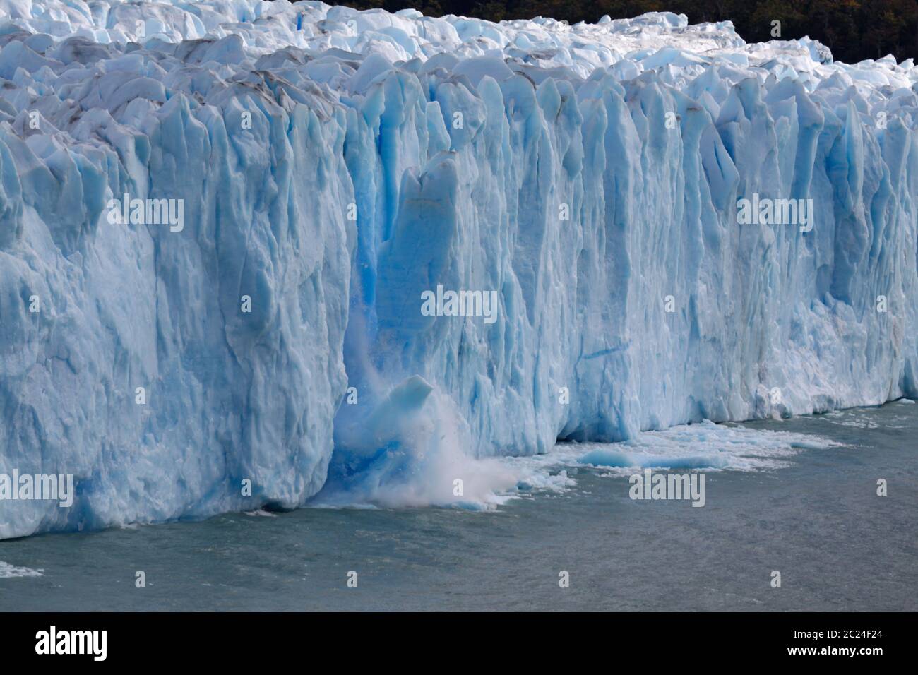 Ghiacciaio Perito Moreno vitelli con massa di ghiaccio in rottura Foto Stock
