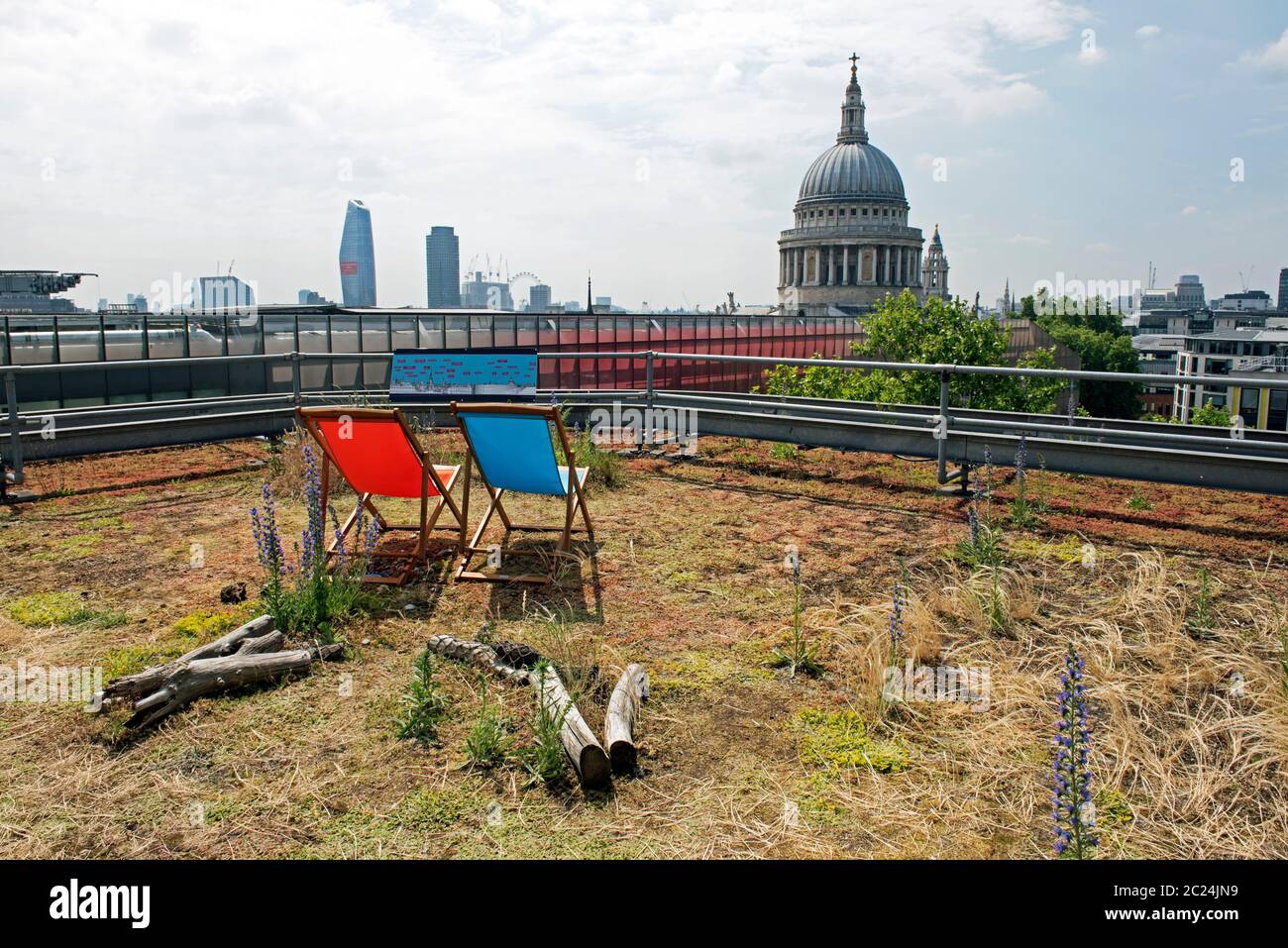 Tetto verde con sedie a sdraio e Cattedrale di San Paolo sullo sfondo, City of London, Inghilterra Gran Bretagna Foto Stock