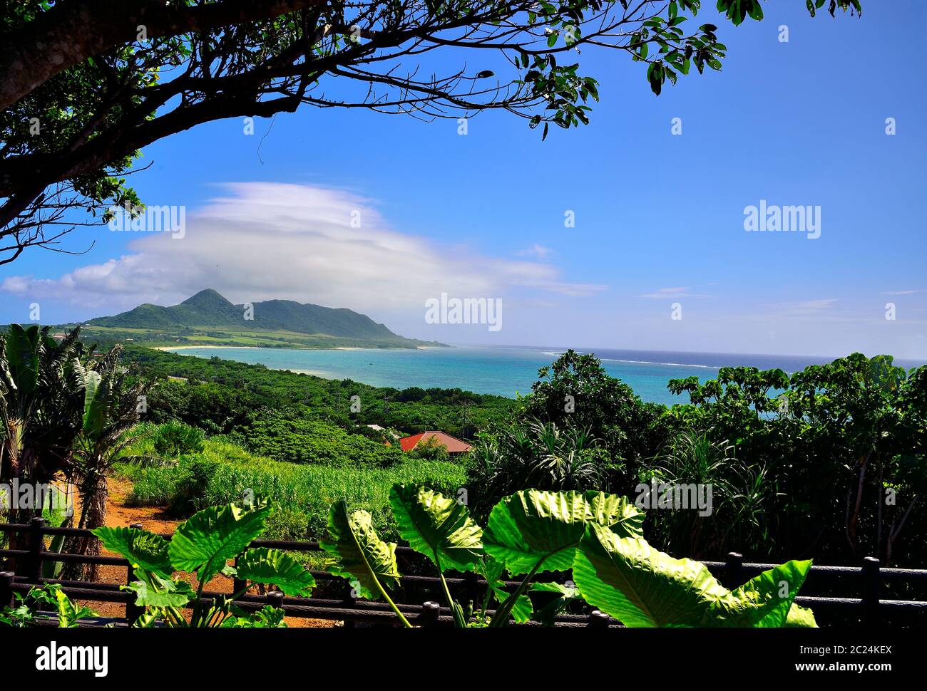 Vista, da Tamatorizak, Ishigaki, Isole Yahema, Okinawa, Giappone Foto Stock