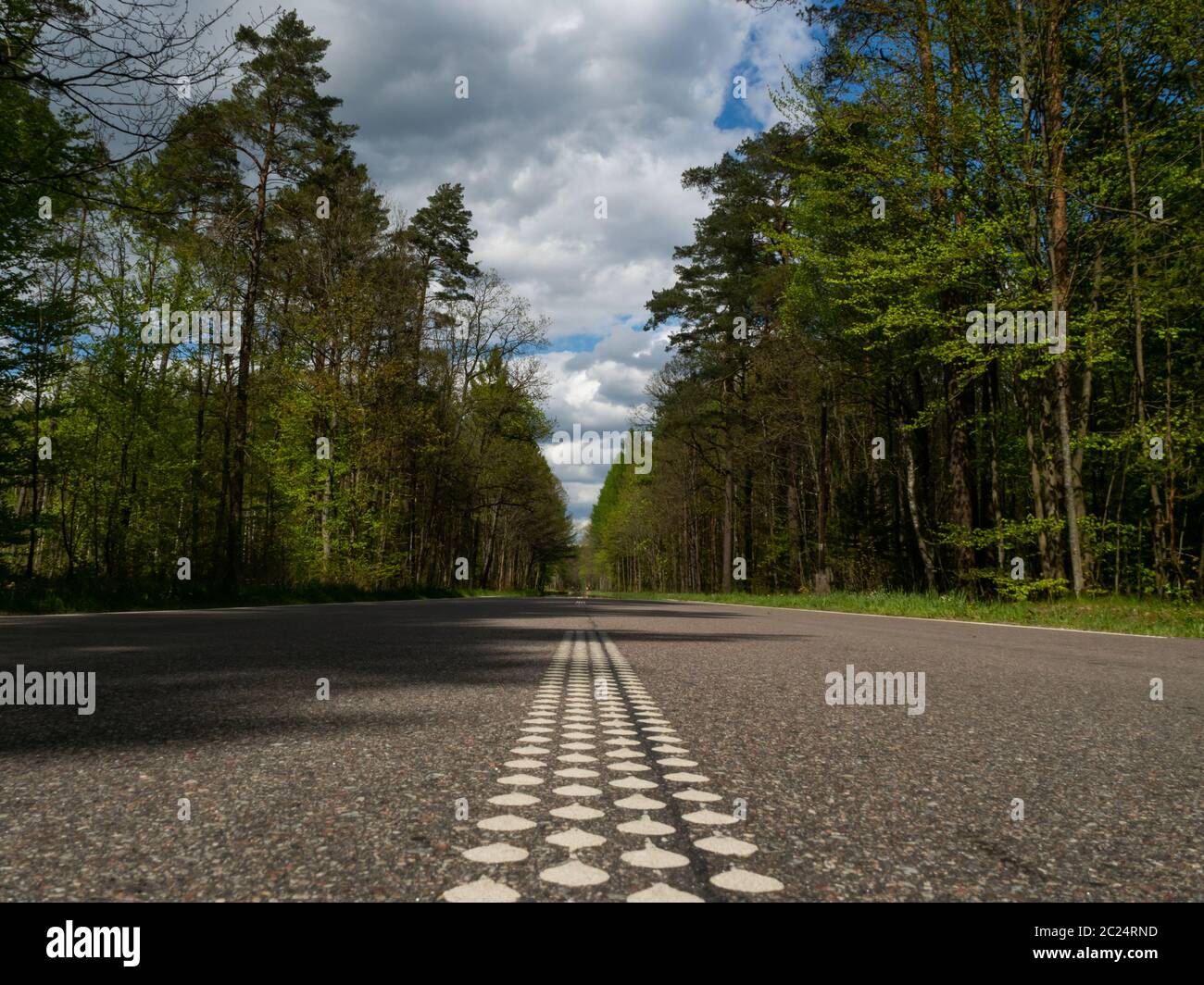 Strada asfaltata attraverso la foresta profonda. Natura sfondo. Polonia Foto Stock