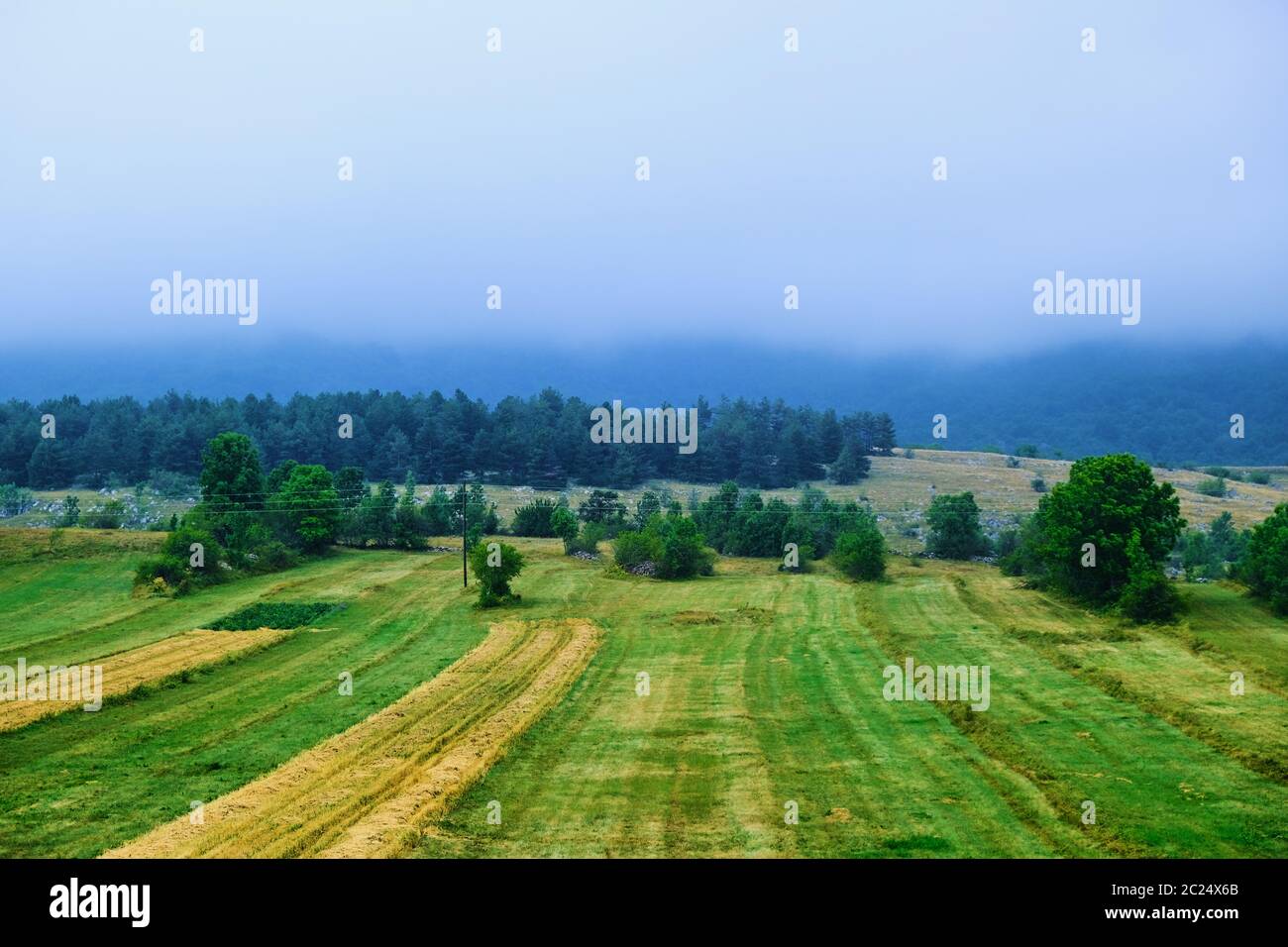 Paesaggio nebbioso Foto Stock