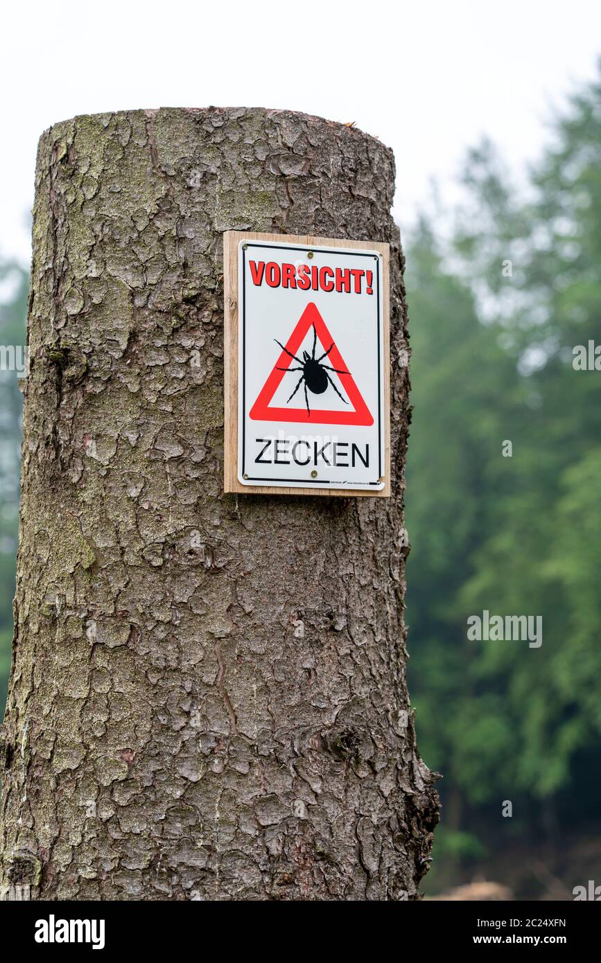 Cartello segnaletico per le zecche, nella foresta di Arnsberg, vicino Hirschberg, Sauerland, NRW, Germania Foto Stock