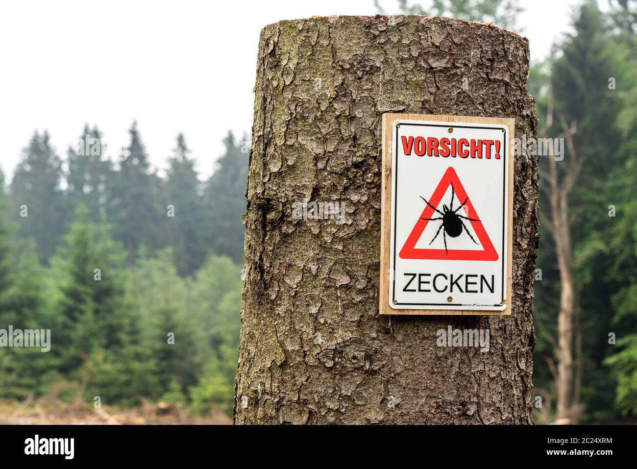 Cartello segnaletico per le zecche, nella foresta di Arnsberg, vicino Hirschberg, Sauerland, NRW, Germania Foto Stock