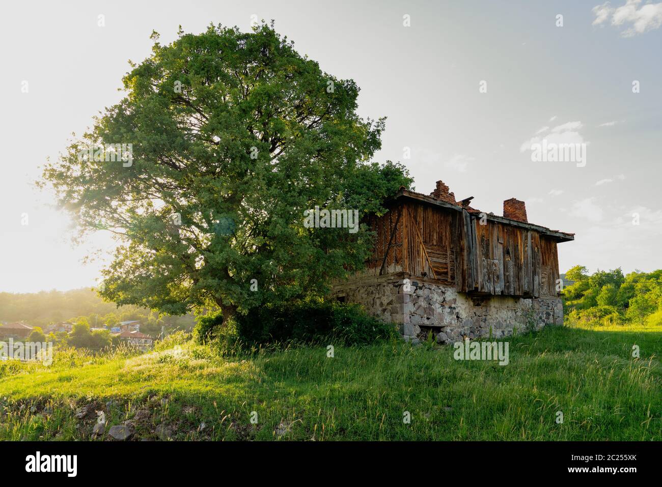 Una vecchia casa in pietra e legno con un grande albero e villaggio sullo sfondo, Kizilcasamam, Ankara, Turchia Foto Stock