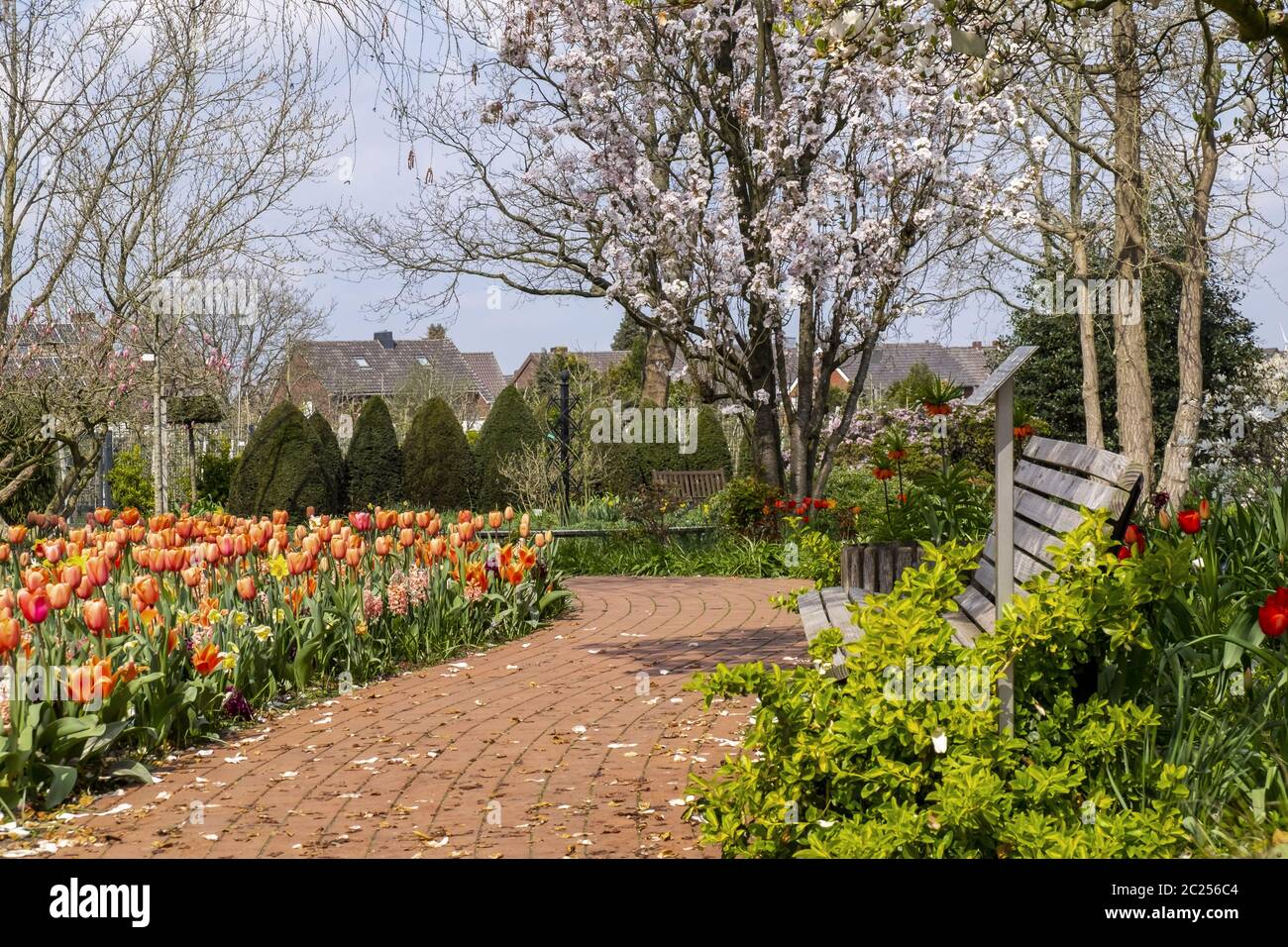 Primavera nel Kreislehrgarten Foto Stock