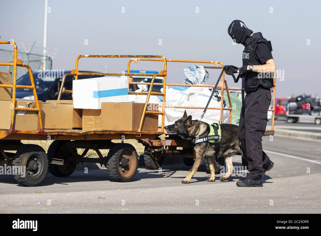 Dogane e addetti alla protezione delle frontiere e cane Foto Stock