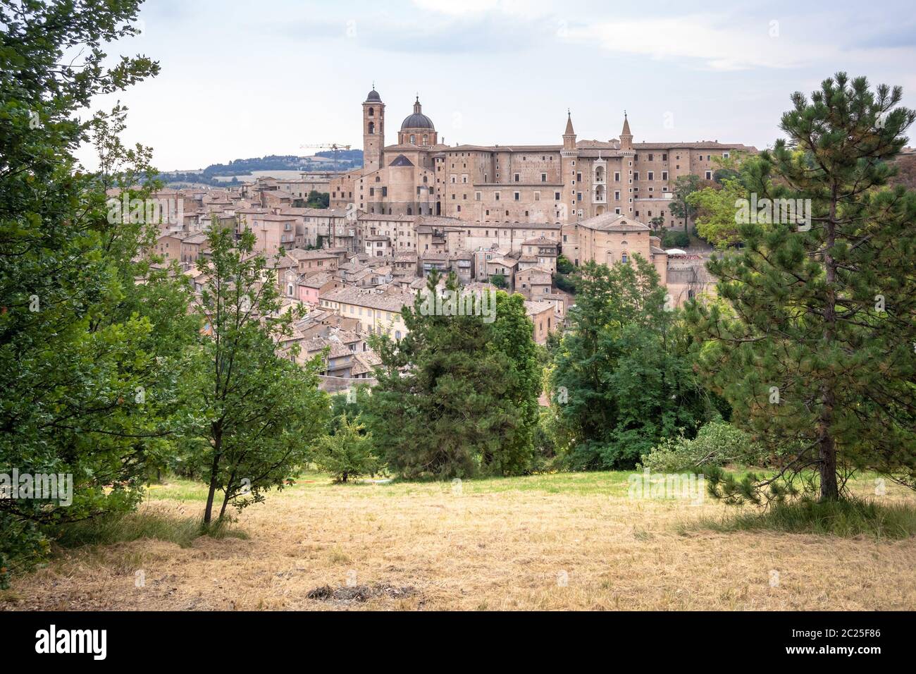 Urbino Marche Italia al giorno Foto Stock