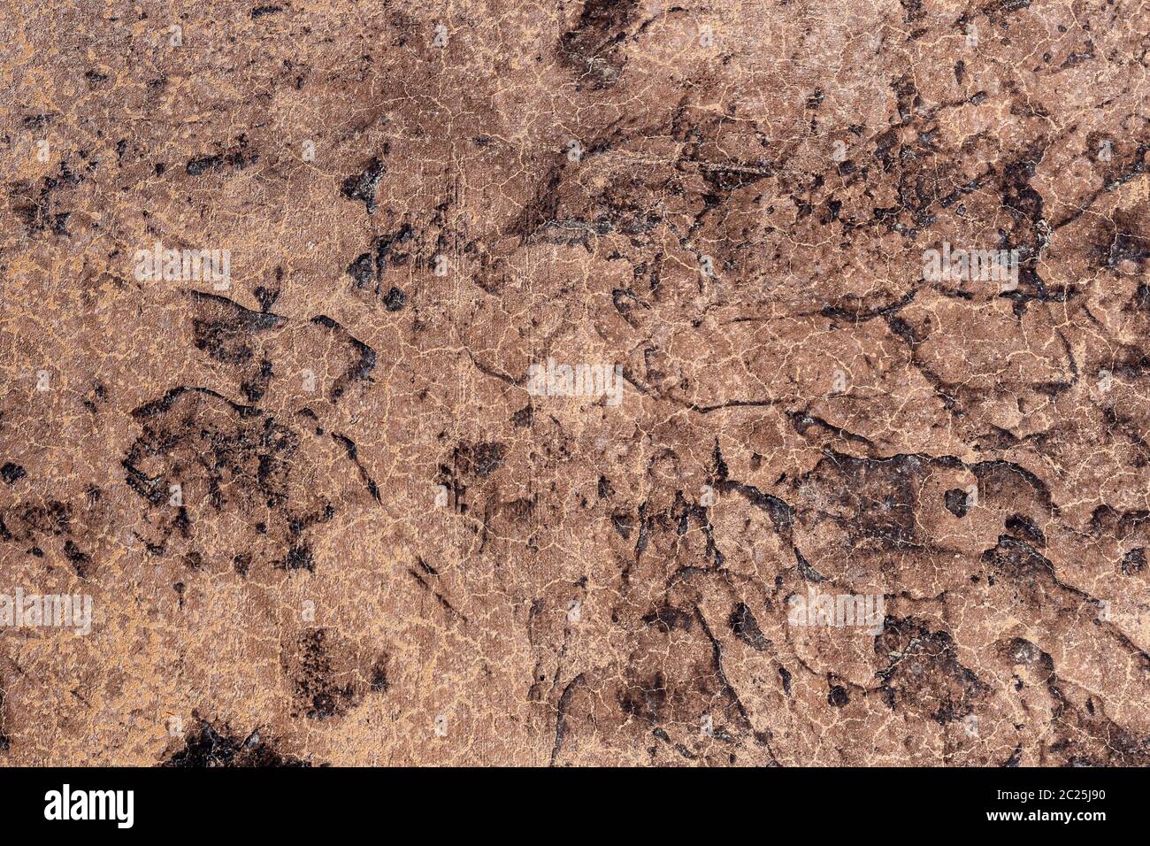 Una superficie rocciosa come sfondo Foto Stock