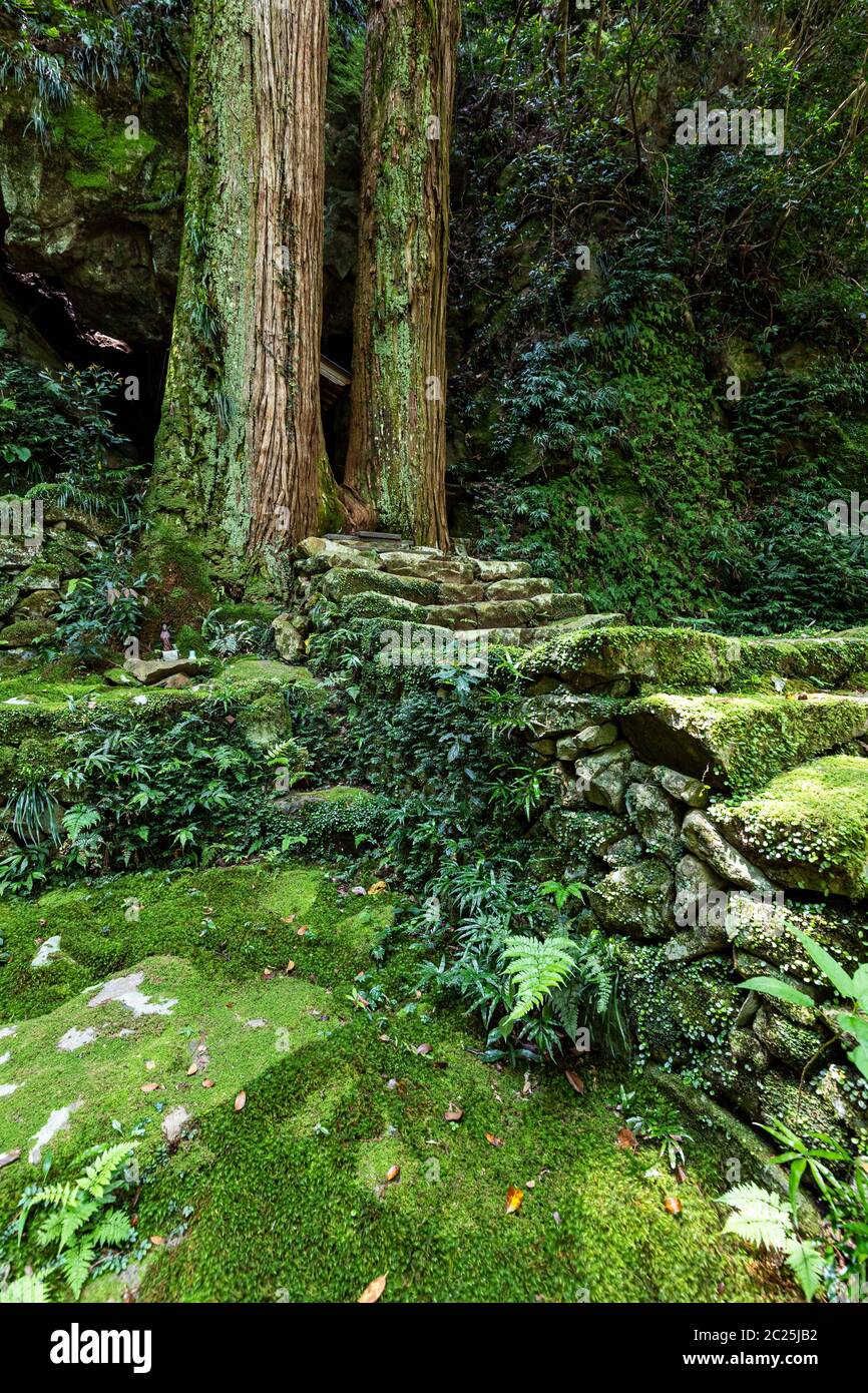 Il tempio di Namikiri Fudo-son si trova a sud della Prefettura di Tokushima. Anche se è un piccolo tempio, i giardini sono coperti di muschio, si sente li Foto Stock