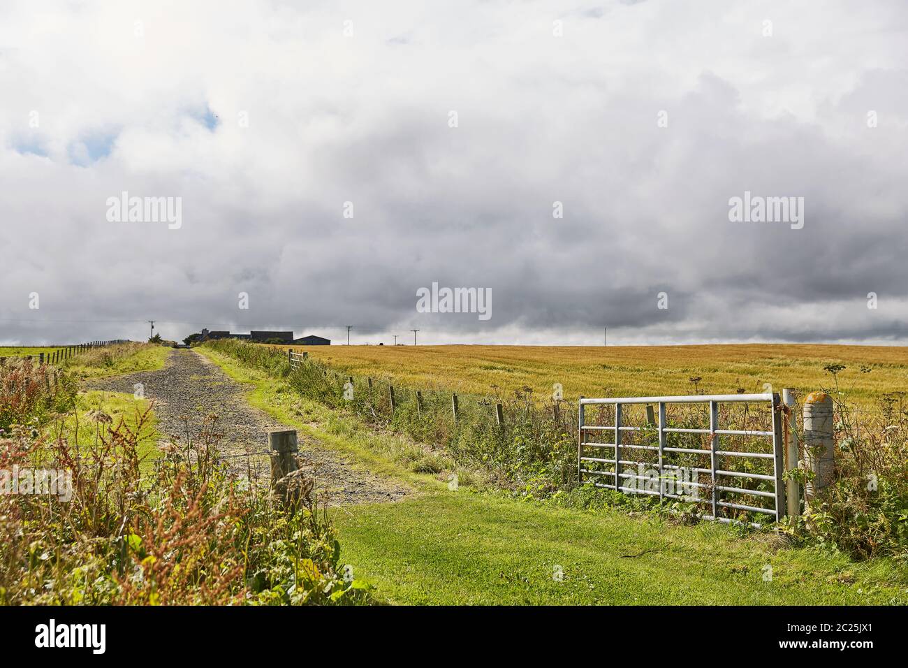 Paesaggio vicino a John o'Groats zona. In evidenza la parte più settentrionale della Scozia. Foto Stock