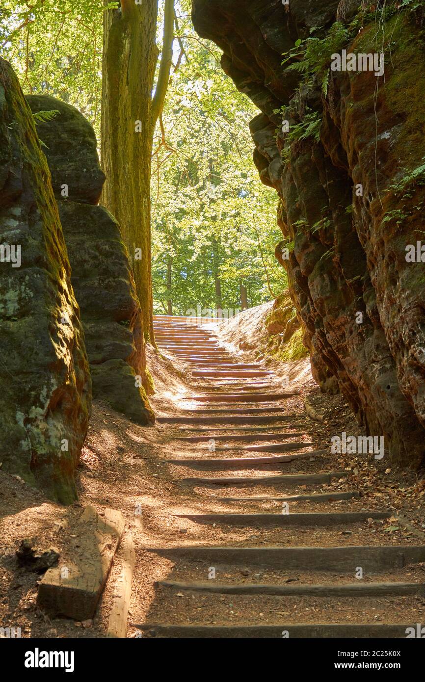 Svizzera sassone Foto Stock