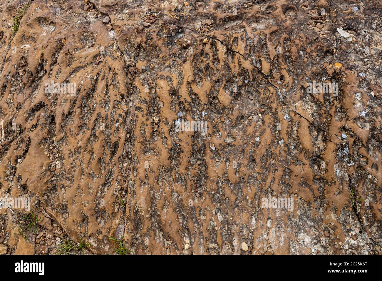 Una superficie rocciosa come sfondo Foto Stock