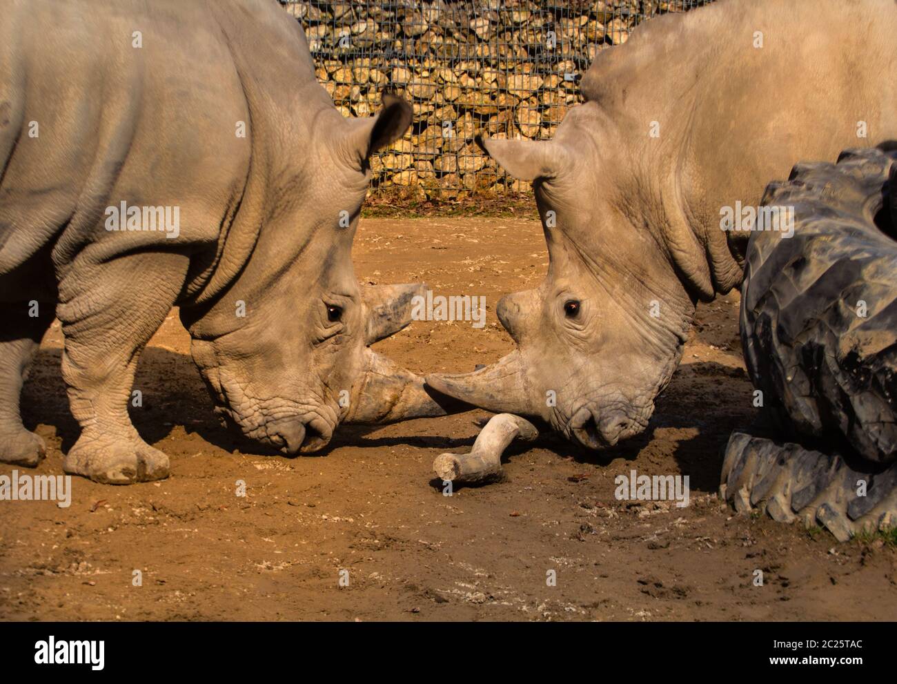 Due bambini si guardano amichevoli. Foto Stock