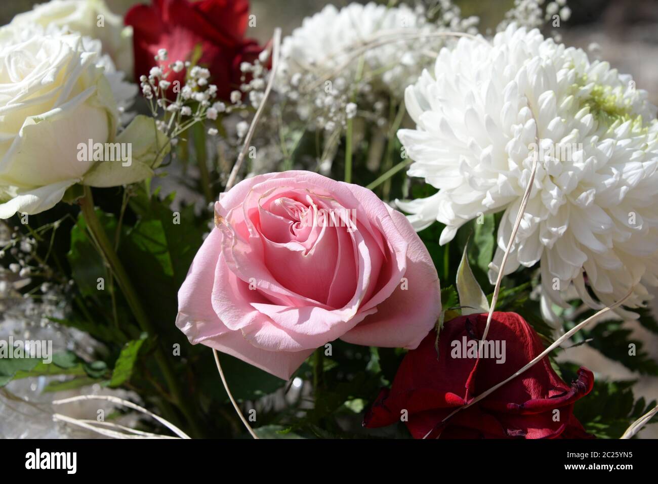 Un bel bouquet, Costa Blanca, Spagna Foto Stock