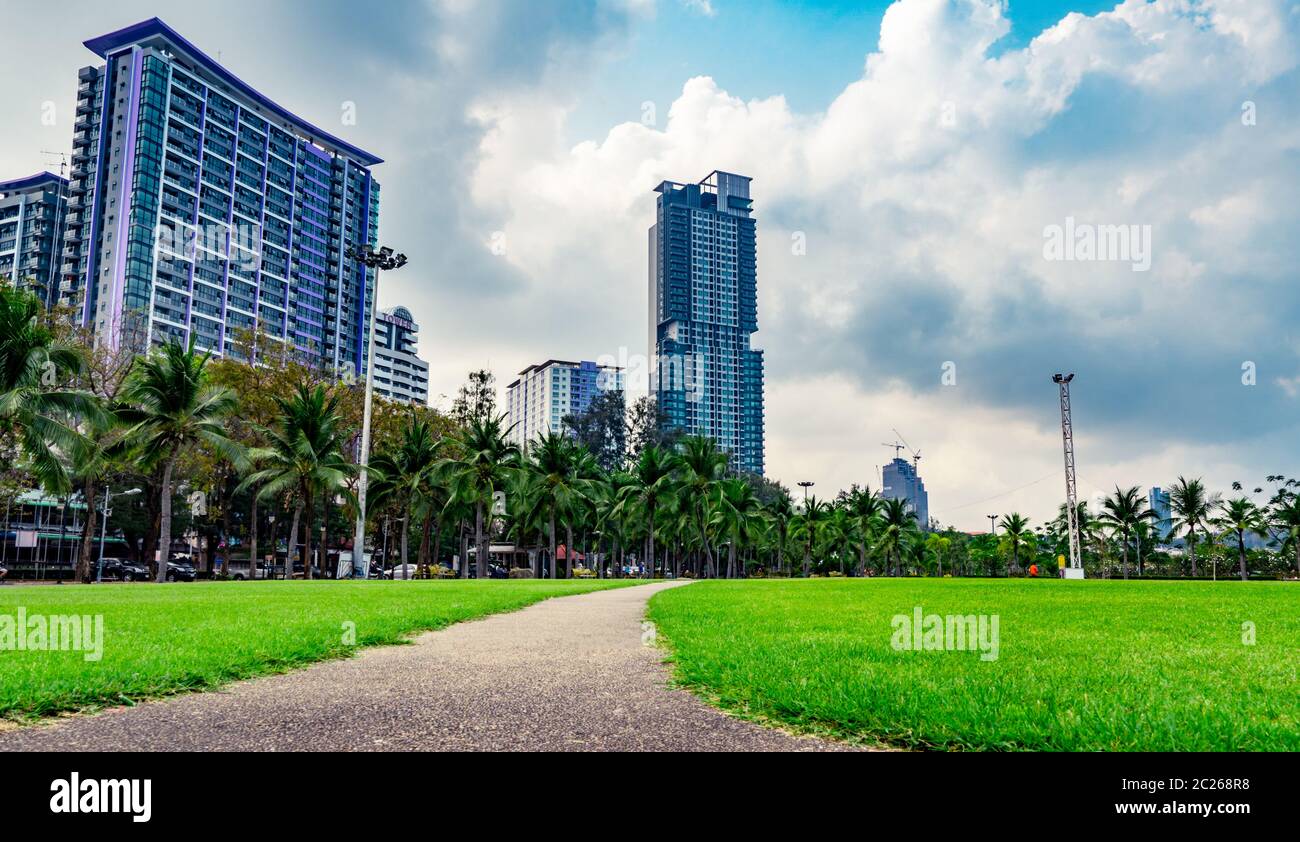 Erba verde campo, strada pedonale e gli alberi di cocco presso il parco della città accanto al mare. Edificio moderno sfondo Foto Stock