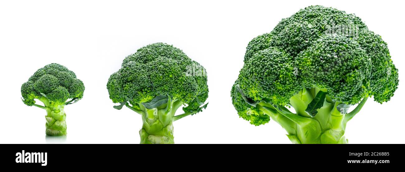Set di broccoli verdi (Brassica oleracea). Verdure fonte naturale di betacarotene, vitamina C e la vitamina k, fibre alimentari, folato. Freschi cavoli broccoli Foto Stock