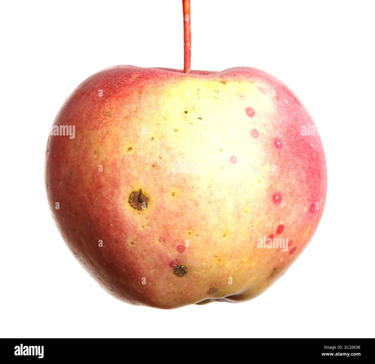 Picciolo Immagini E Fotos Stock Alamy