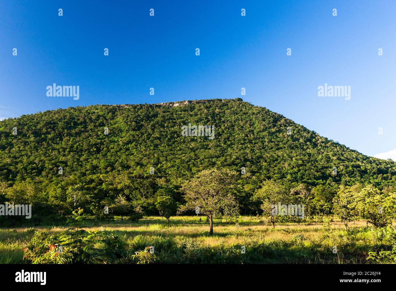 Montagne Dangrek, collina è Preah Vihear Tempio, tempio indù di antico Impero Khmer, Preah Vihear, Cambogia, Sud-est asiatico, Asia Foto Stock