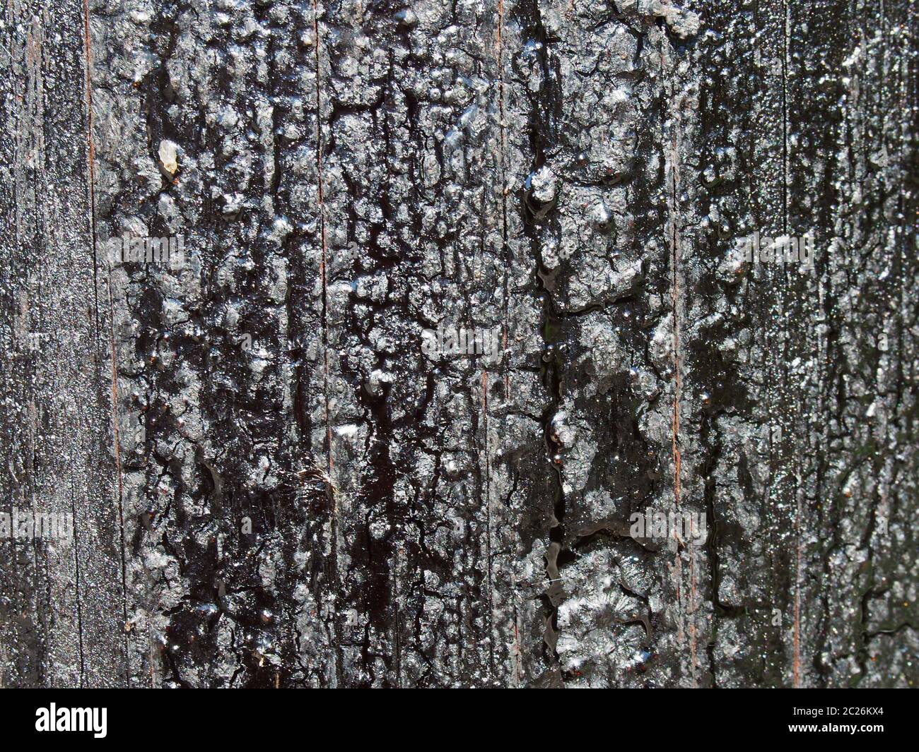 un vecchio conservante bituminoso nero che fonde ha coperto la superficie di legno testurizzato Foto Stock