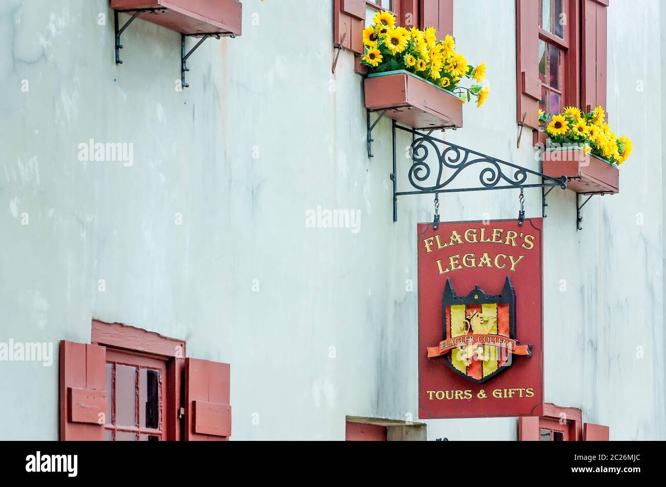 Le margherite gialle illuminano le finestre di Flagler’s Legacy su St. George Street, 11 aprile 2015, a St. Augustine, Florida. Foto Stock