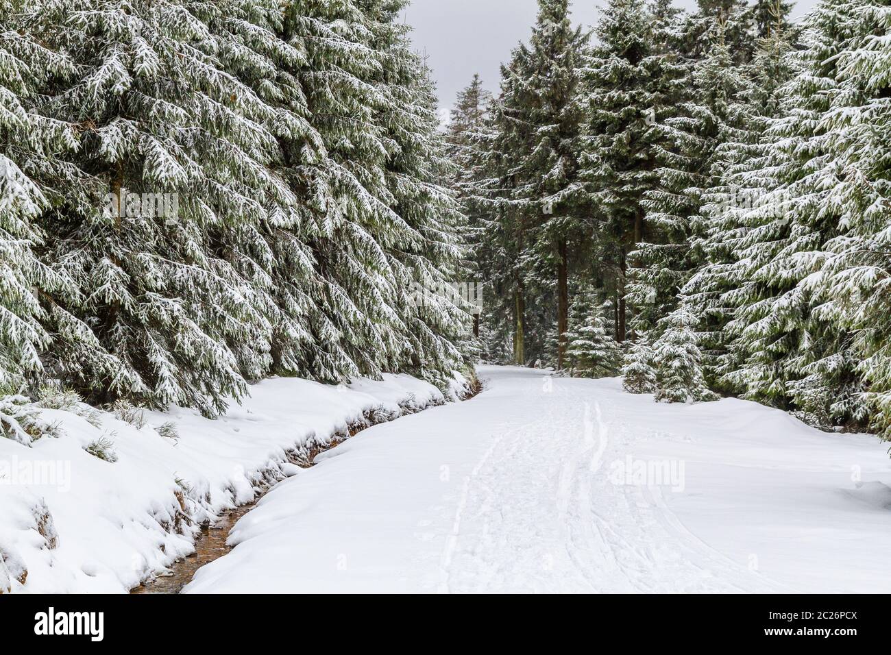 Parco Nazionale di Harz la Oderteich in inverno Foto Stock