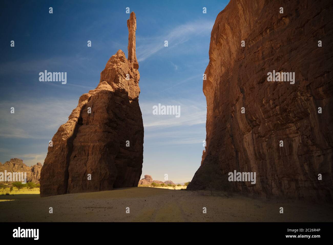 Formazione astratta di roccia all'altopiano Ennedi aka guglia , Ciad Foto Stock