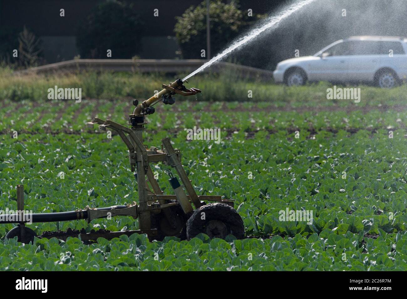 Irrigazione su un campo Foto Stock
