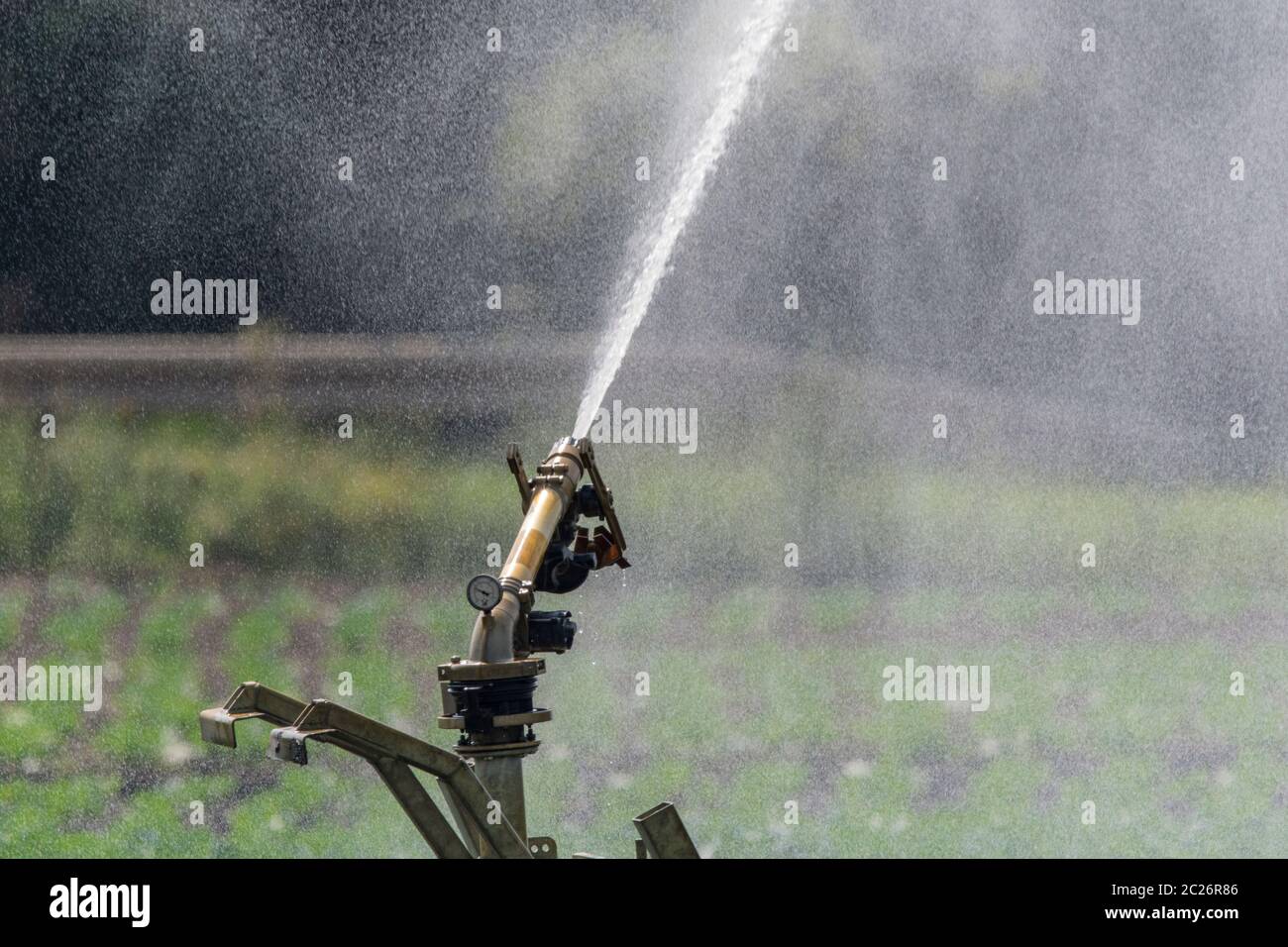 Campo di irrigazione Foto Stock