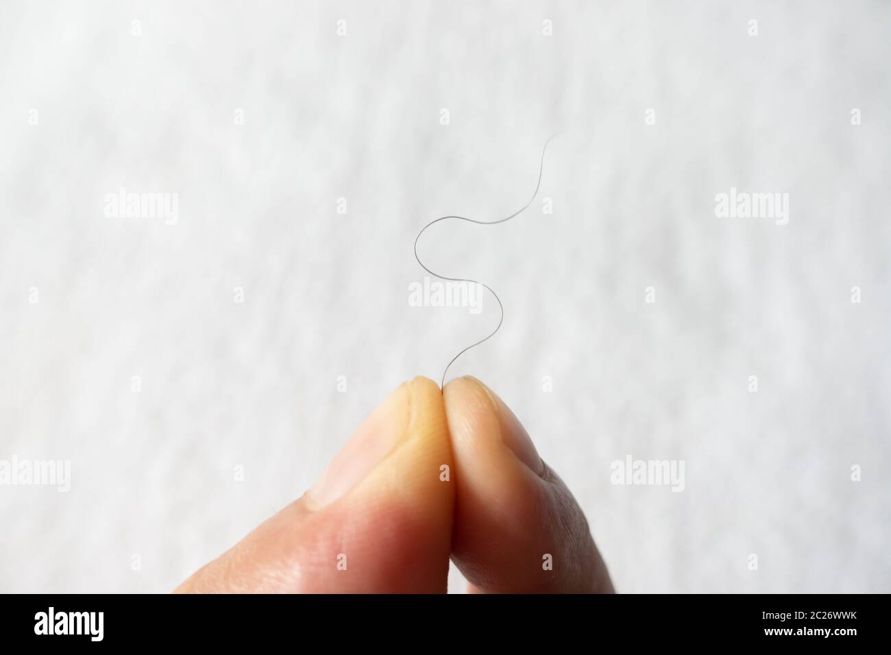 Tenere in mano i capelli pubici fron asciugamano Foto Stock