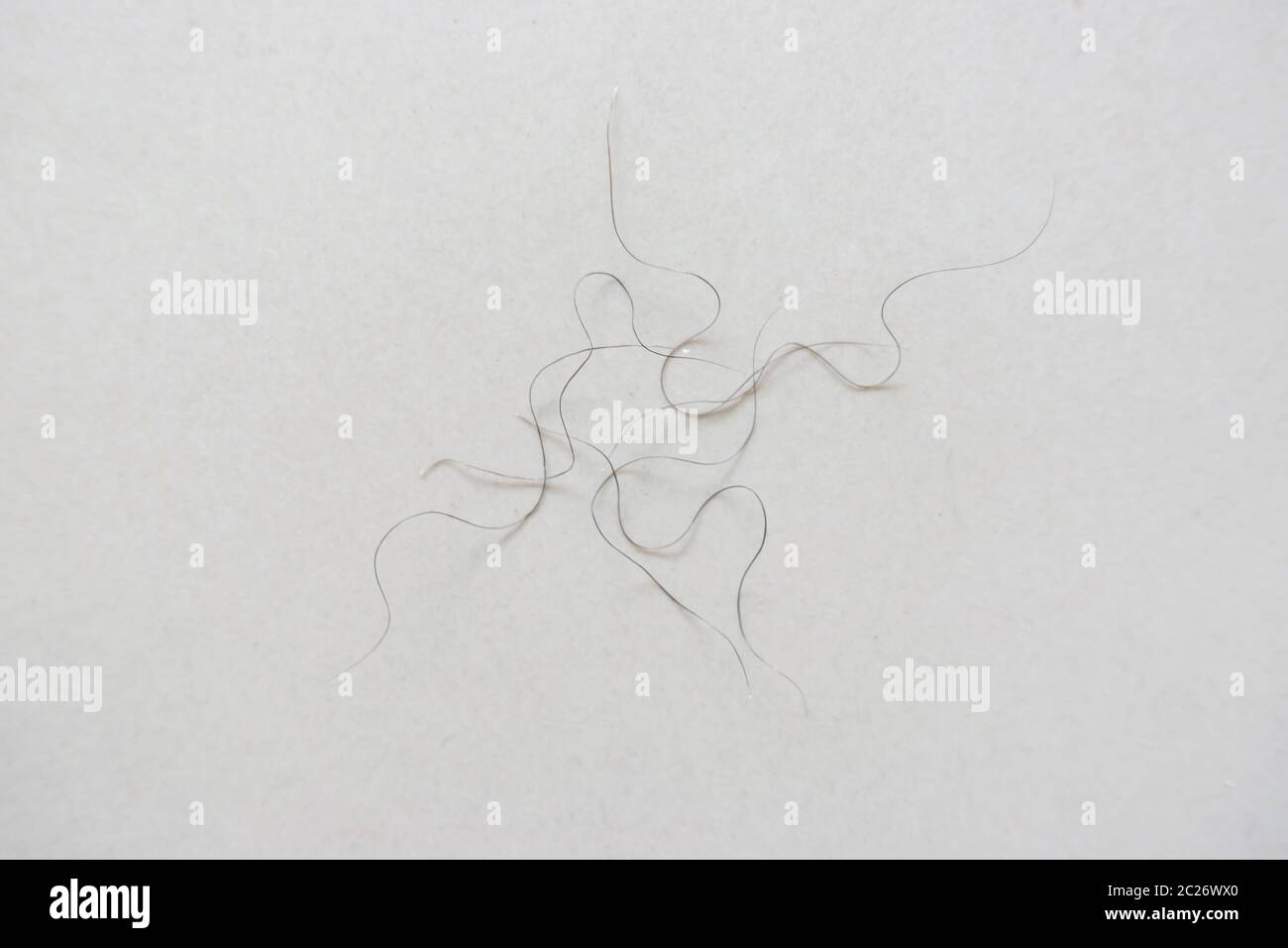 Capelli pubici cadere sul pavimento della camera Foto Stock