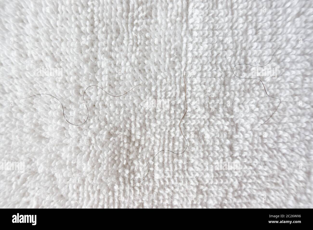 Capelli pubici caduta su asciugamano bianco Foto Stock