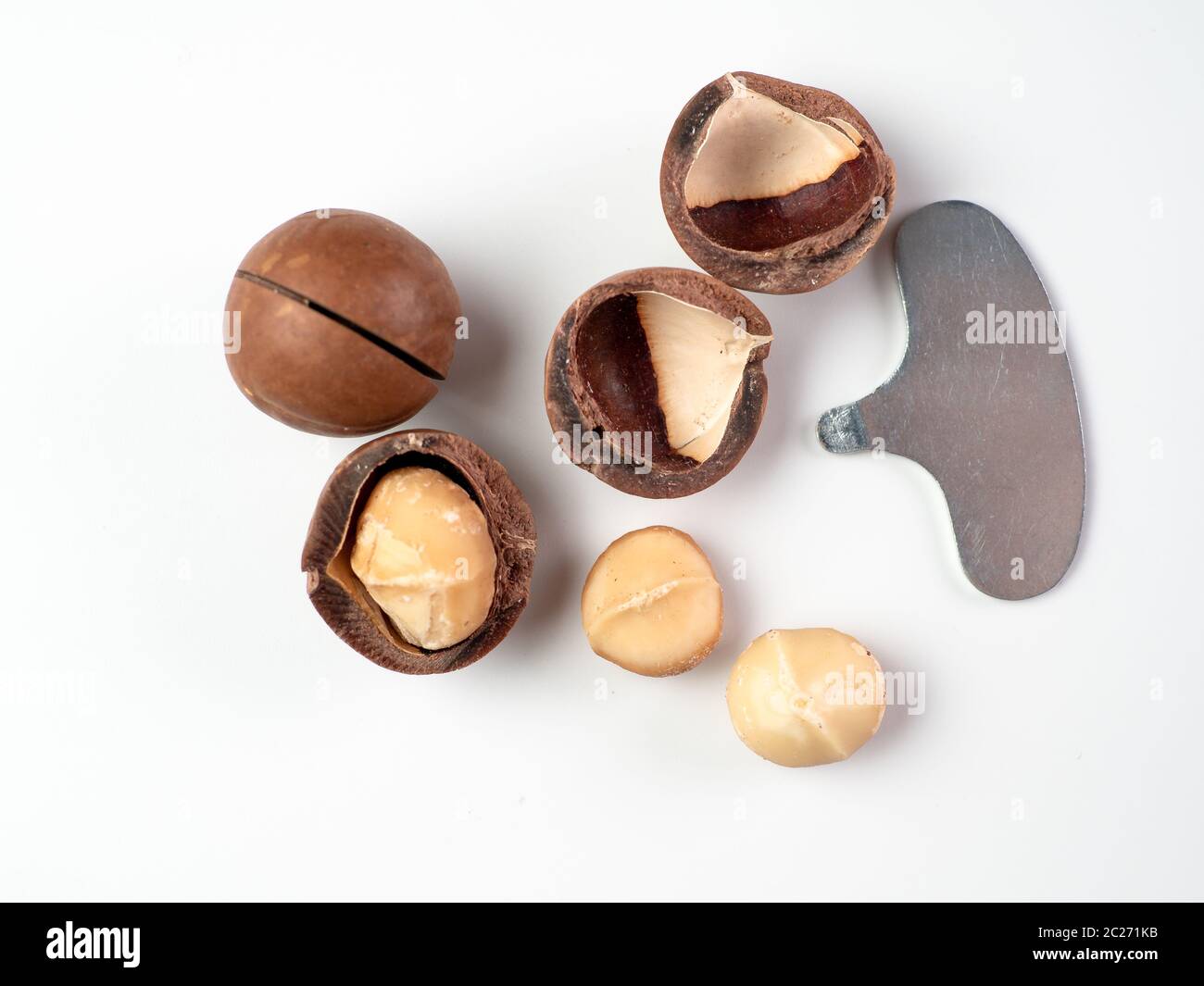EXCEART Apriscatole Per Noci Di Macadamia In Ferro | Chiave Per Dado Integrata | Utensile Compatto E Resistente | 50 Pezzi | Adatto Per Cucina E Frutta Secca