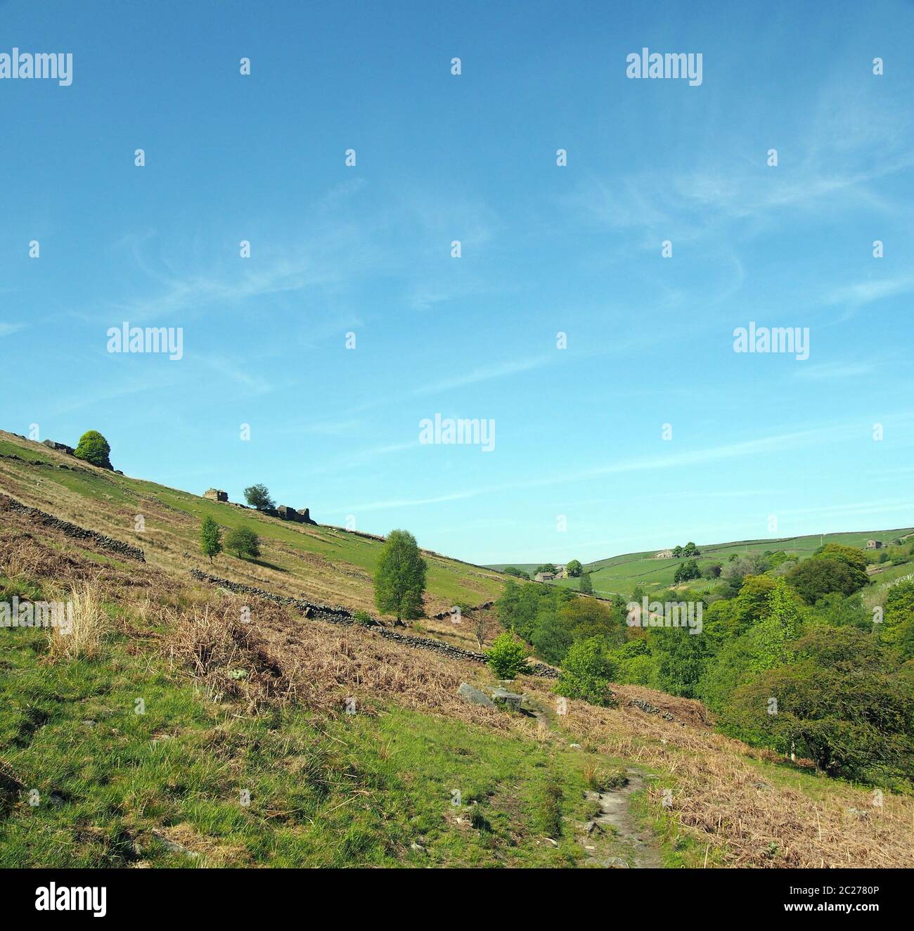 campi verdi collinari con prati ricoperti di erba e vecchie cascine in pietra nelle valli dello yorkshire a crismsworth vicino hardcastle crag Foto Stock