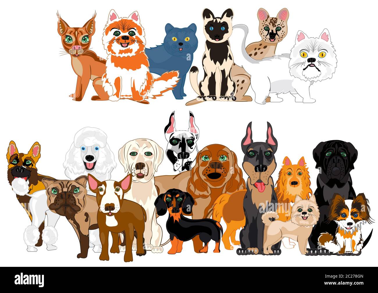 Pordy gatto e cani su sfondo bianco è isolato Foto Stock