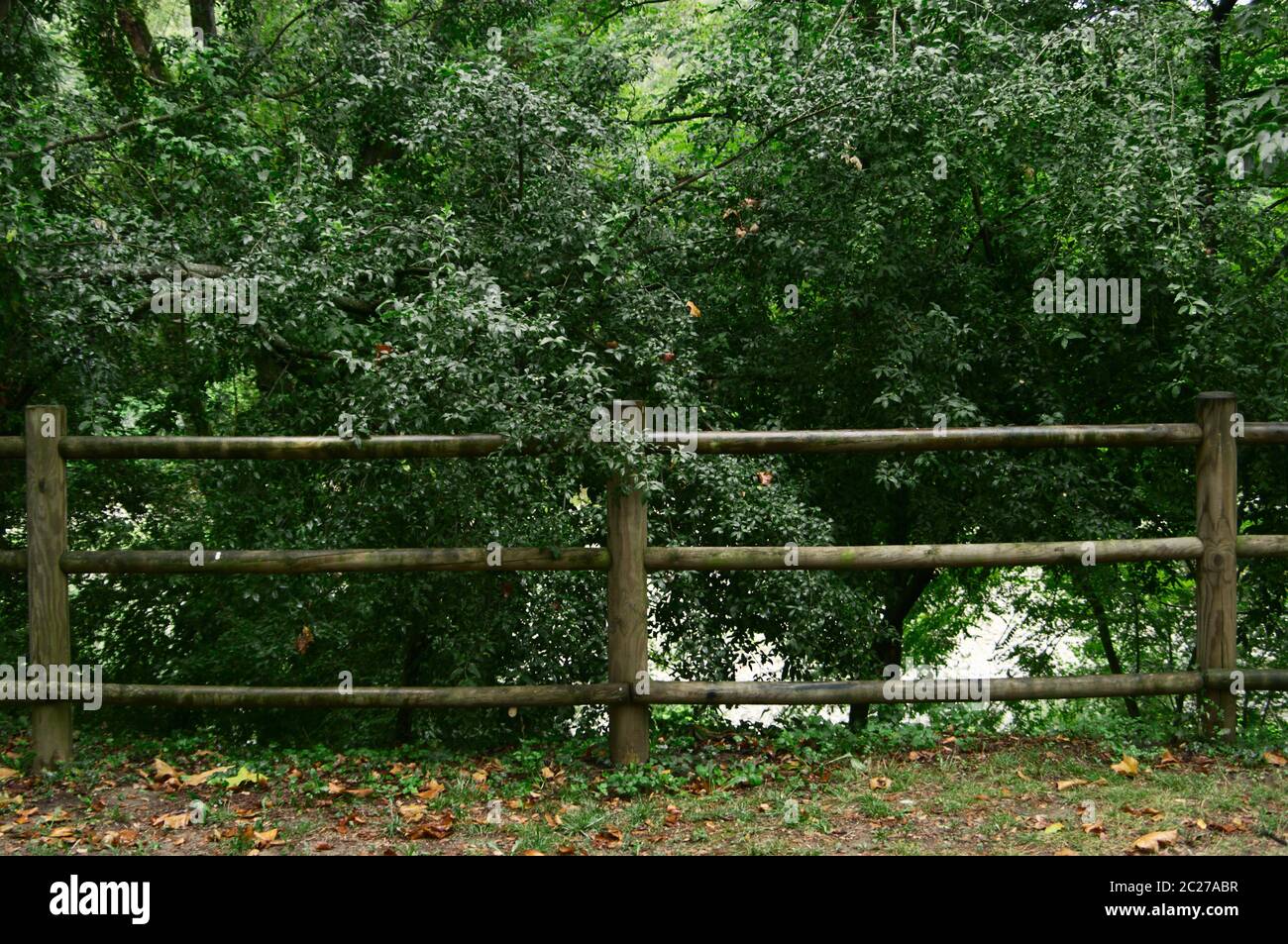 recinzione in legno in zona di montagna con alberi Foto Stock