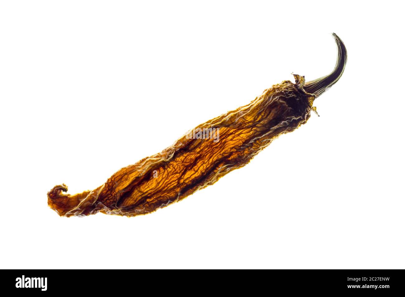 Retroilluminato con peperoncino rosso secco isolati su sfondo bianco. Foto Stock