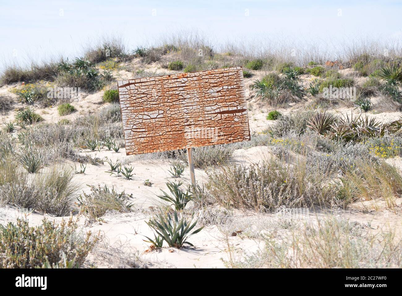 Vecchia e arrugginita lavagna in piedi solo sulla spiaggia nelle dune Foto Stock