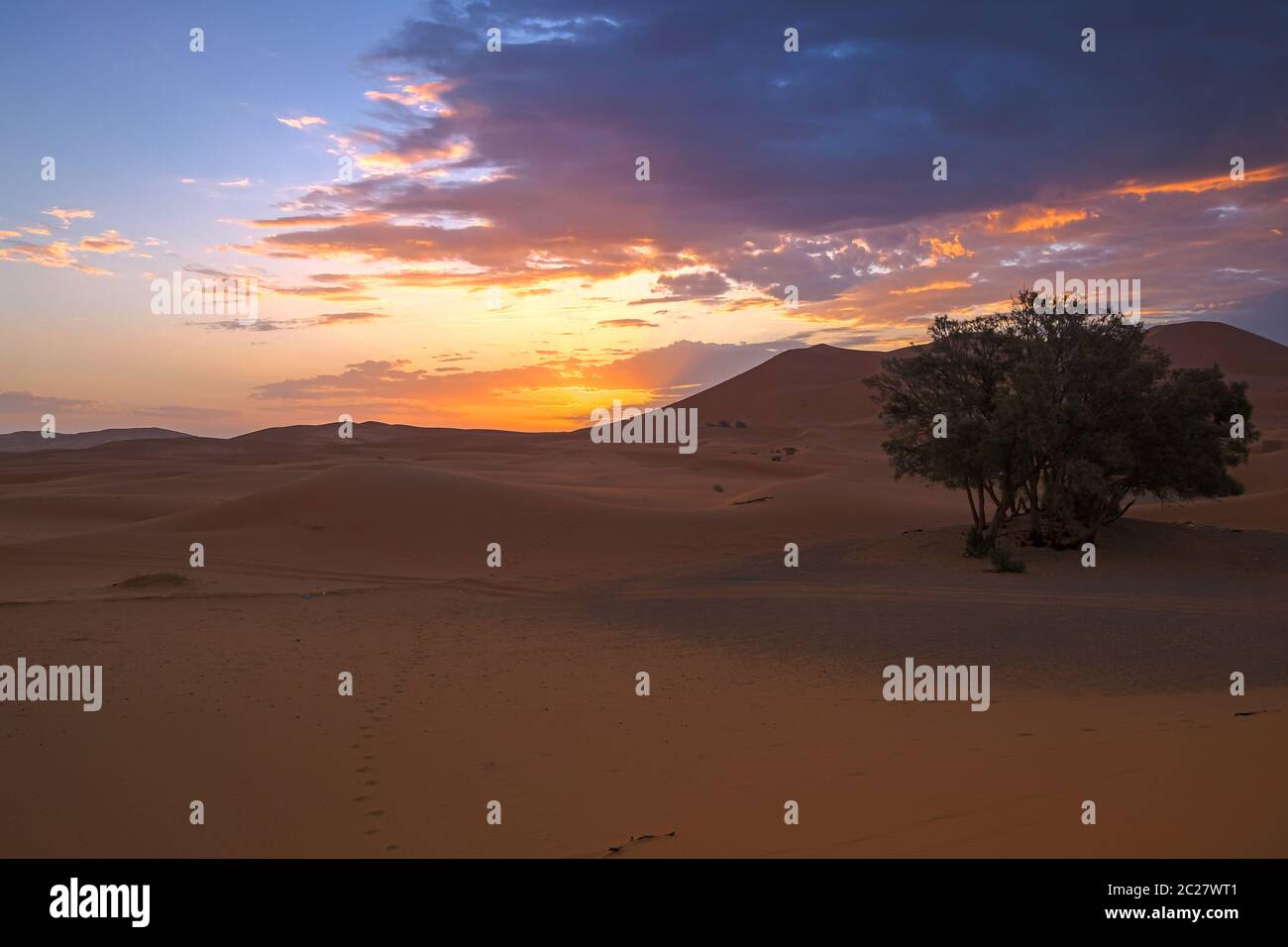 Alba nel deserto vicino a Merzouga, Marocco, in una soleggiata mattina estiva Foto Stock