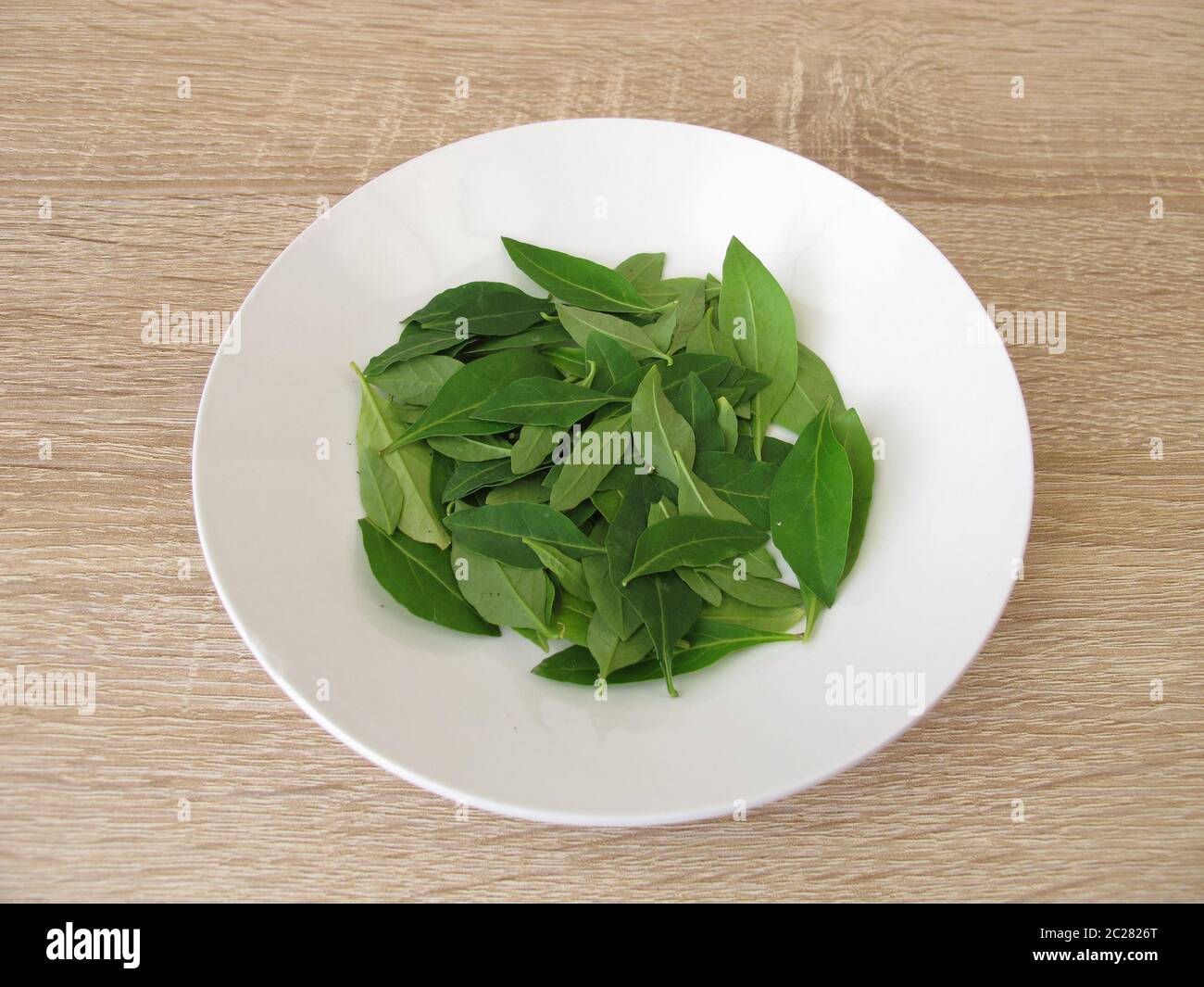 Foglie di goji fresche sul piatto Foto Stock