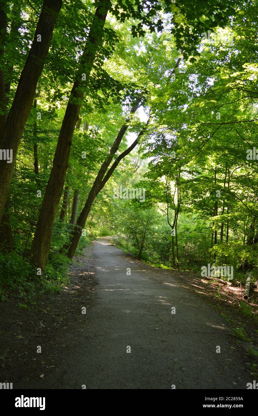 Morning Trail a Crescent Park, Canada 2020 Foto Stock