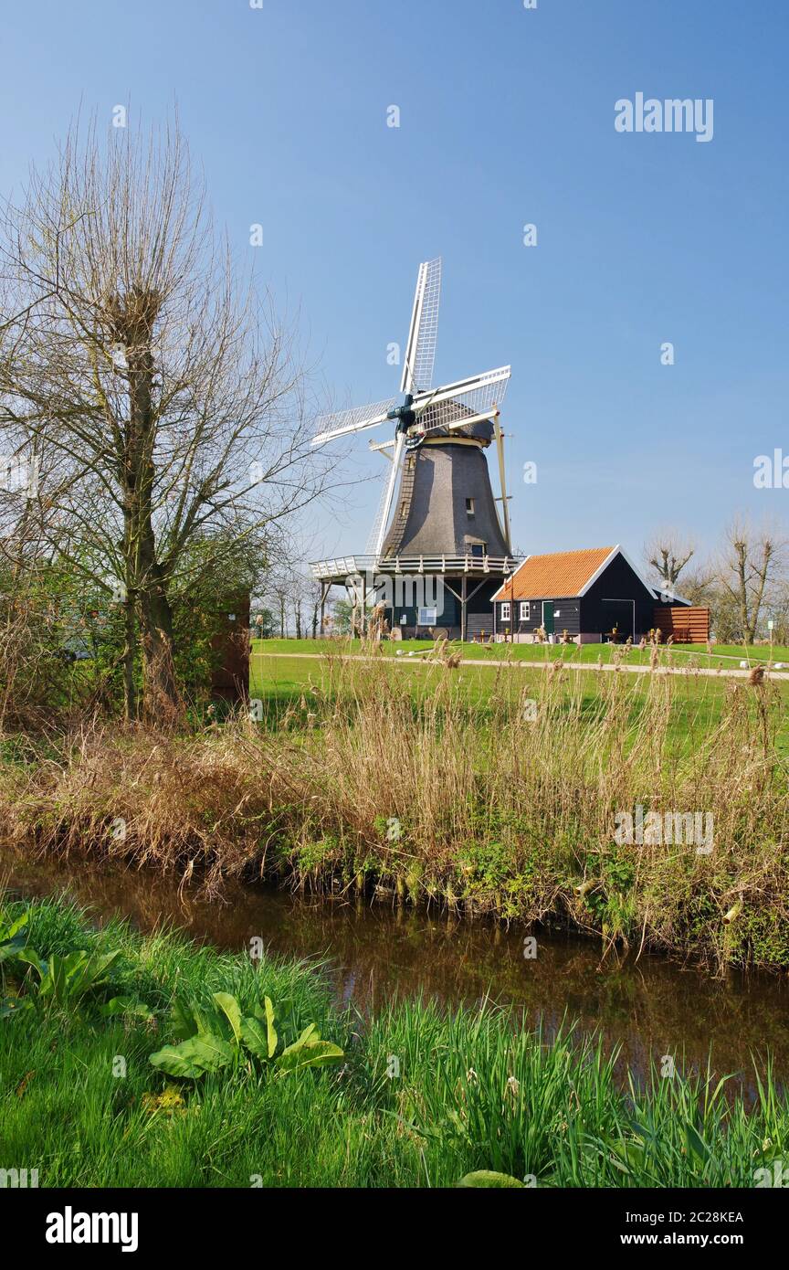 Mulino 'De Hoop' (1865 / 2012), Â´t Zand, distretto Schagen, Provincia Nord Olanda, Paesi Bassi Foto Stock