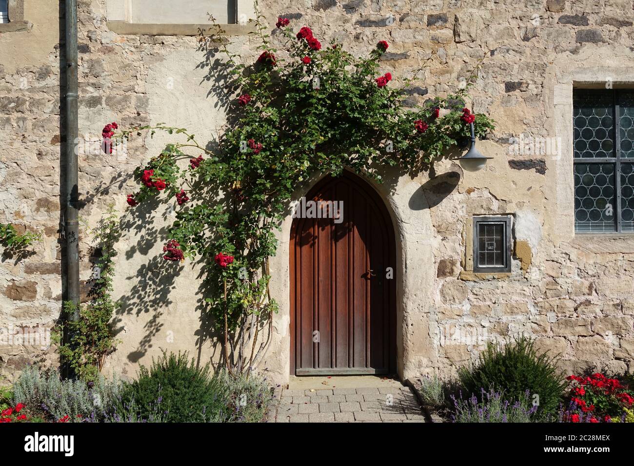 Roses a una porta Foto Stock