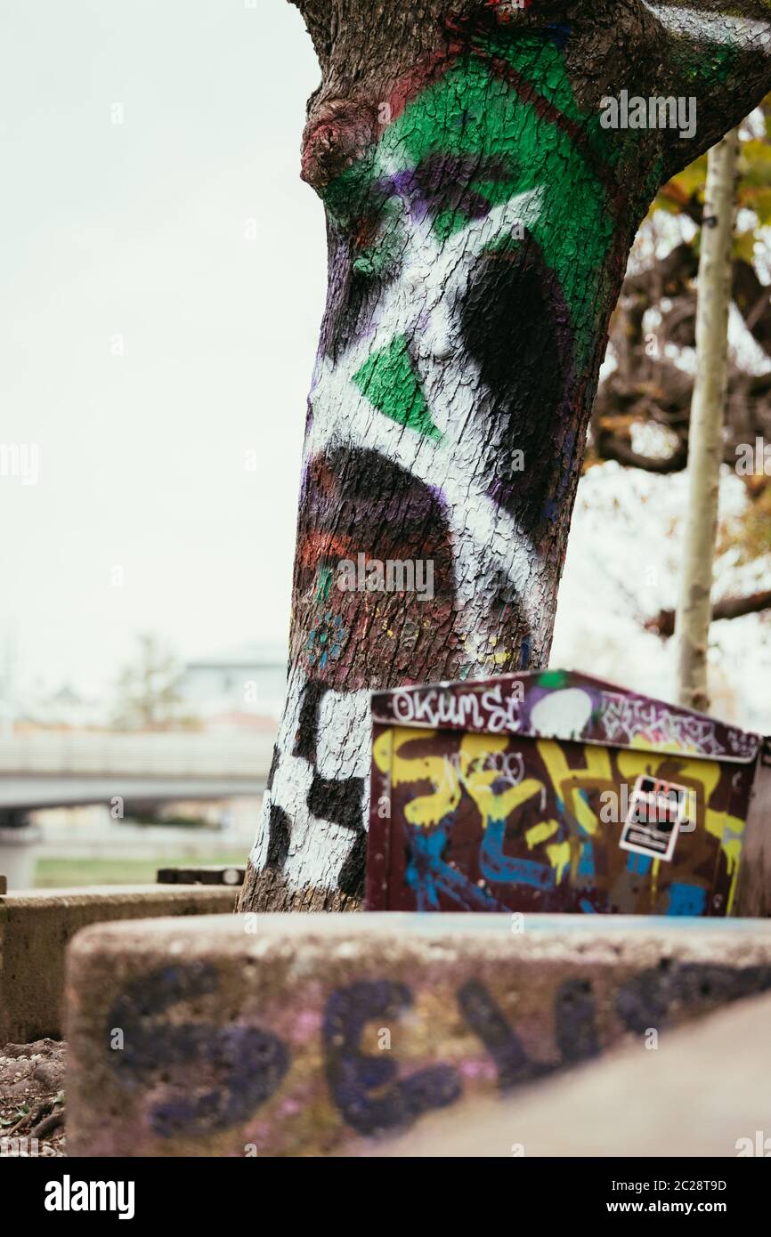 Graffiti urbani su alberi e pareti Foto Stock