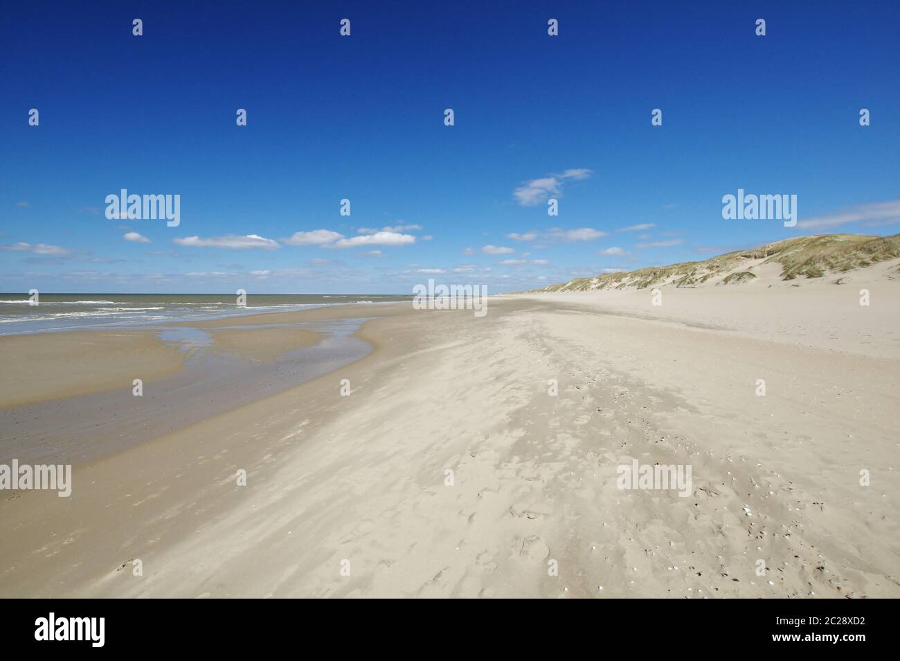 Il Mare del Nord e la spiaggia di sabbia, Julianadorp, vista in direzione 'Strandslag Falga', distretto Den Helder, provincia Olanda, Paesi Bassi, Europa occidentale Foto Stock