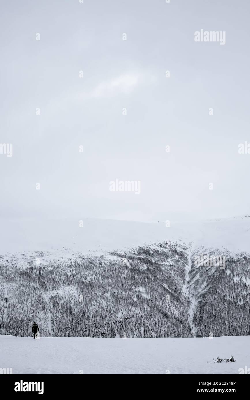 Persona non identificabili nella neve tra il meraviglioso paesaggio invernale, Norvegia Foto Stock